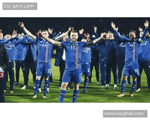 匈牙利与冰岛足球对决数据分析揭示战术优势与球员表现